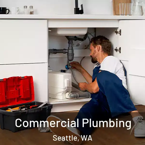  Commercial Plumbing Seattle, WA
