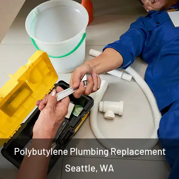  Polybutylene Plumbing Replacement Seattle, WA