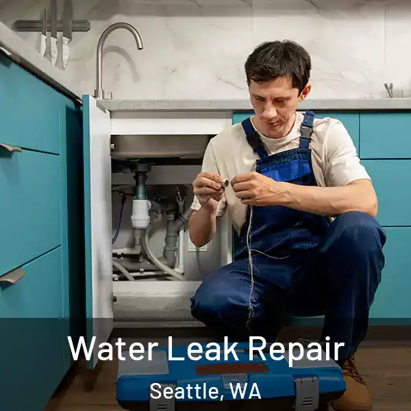  Water Leak Repair Seattle, WA